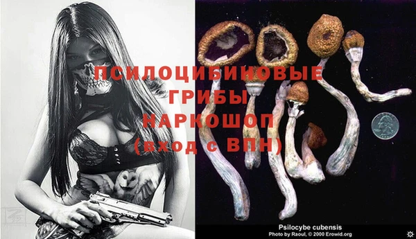 spice Алексеевка