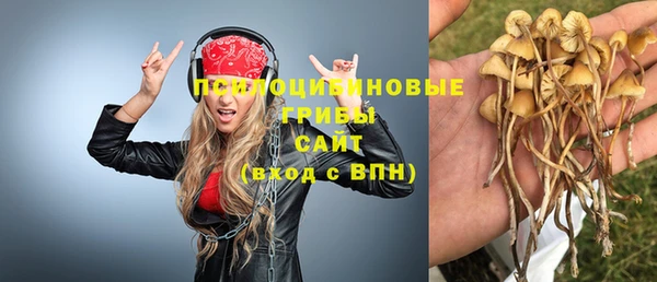 spice Алексеевка