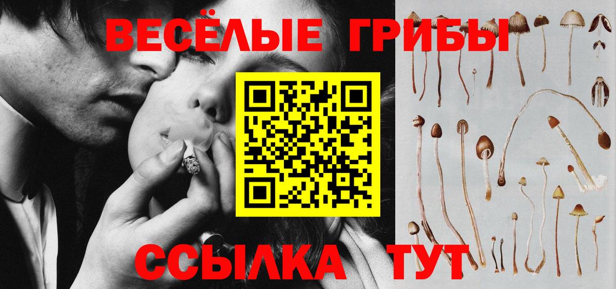 Псилоцибиновые грибы Psilocybine cubensis Сосновоборск