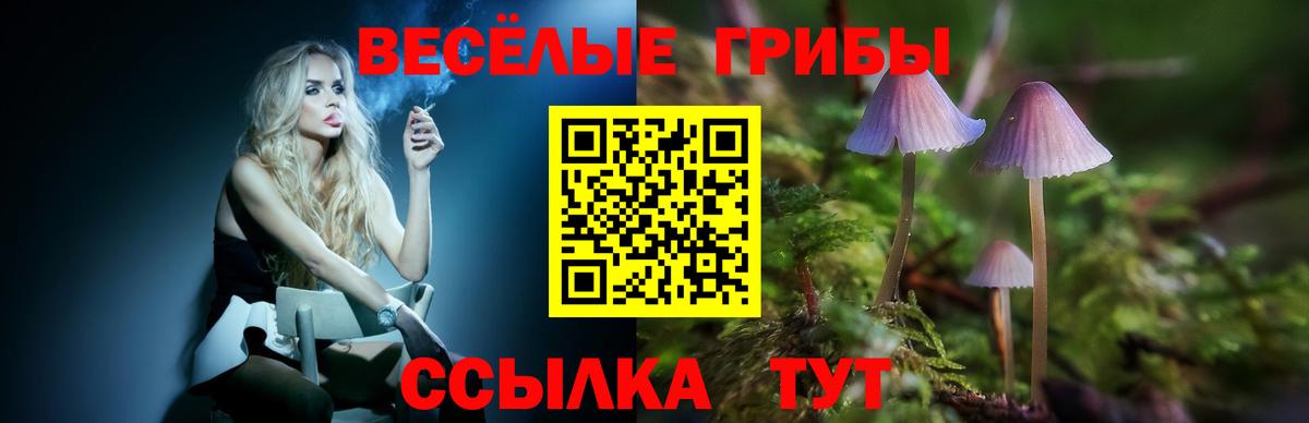 Галлюциногенные грибы Cubensis  Вход с VPN  Псилоцибиновые грибы MAGIC MUSHROOMS  Сосновоборск 