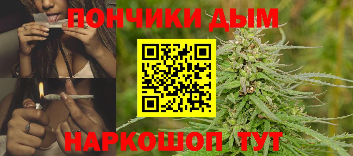 Каннабис план Сосновоборск